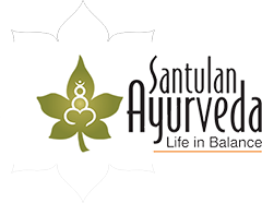 santulan_logo